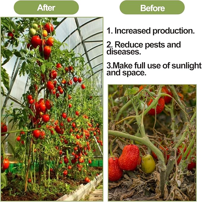 20PCS Tomato Roller Hooks with 49.21FT String and 200PCS Tomato Support Clips for TomatoPlant GreenhouseFlower Vine Twine Crop Greenhouse Trellising Kit