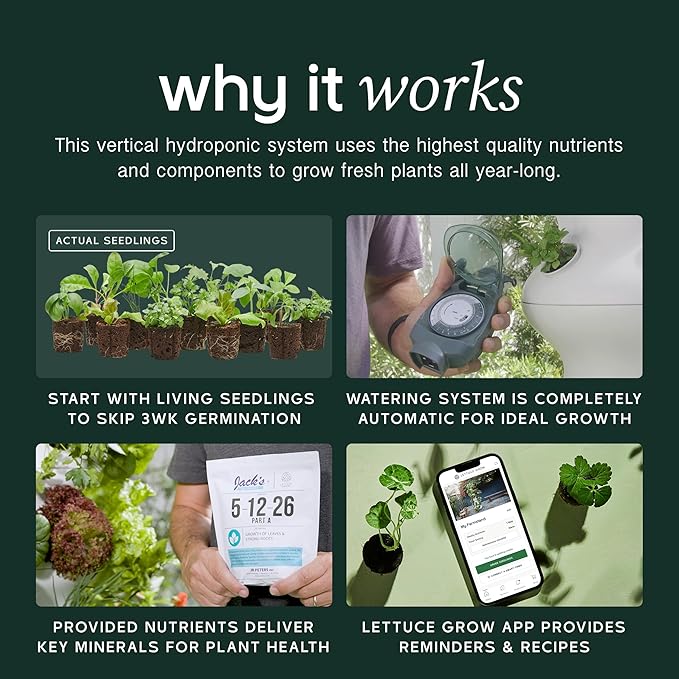 Farmstand Large Starter Kit + 36 Seedling Credits | 6 ft Vertical Hydroponic Garden Tower | Self Watering Outdoor Garden System for Vegetables Herbs &amp Greens | Made in USA