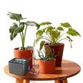 Automatic Watering System for Potted Plants Drip Irrigation Kit System Plant Self Watering Devices for Office Patio Greenhouse GrowTent with Programmable Water Timer