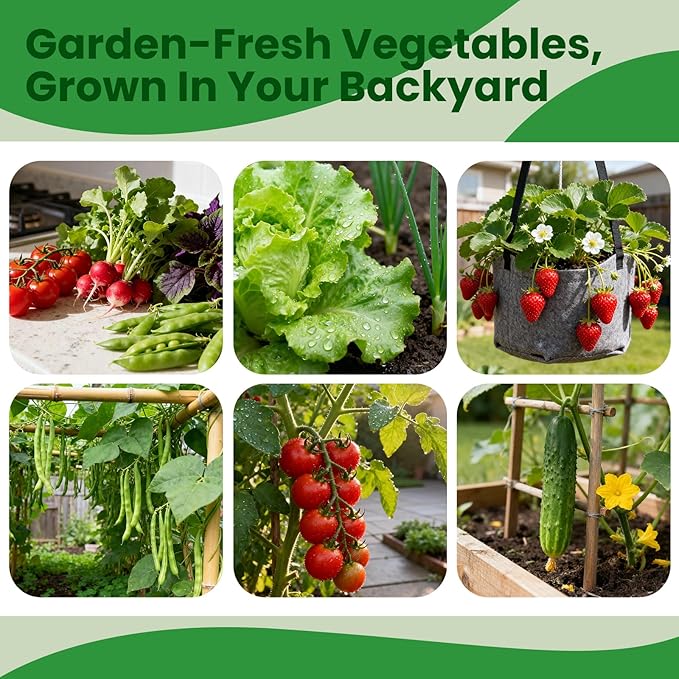 45 Vegetable Seeds Variety Pack - 17000+ Non-GMO Heirloom for Planting Garden Seed Packets Indoor &amp Outdoors Gardening -Seed Vault Kit Friend GiftTomato Cabbage Spinach Cucumber Lettuce