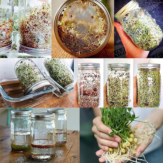 Sprouting Jar 2 Sets Wide Mouth Seed Sprouter with Mesh Lid 16oz Sprouting Kit with Adjustable Stand 4.92in Transparent Sprouts Growing Kit for Beans Broccoli