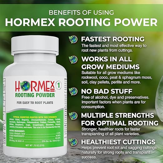 Hormex Rooting Powder #1 &amp Vitamin B1 Hormone Concentrate Combo - Root Stimulator for Softwood Cuttings &amp Liquid - Perfect for Hydroponics House Plants Gardens Fruits &amp Vegetables 21g