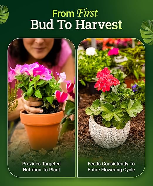 FoxFarm Cultivation Nation Bloom Fertilizer 0-5-4 - Part 3 of FoxFarm 3-Part Feeding Program for Bud Development - Liquid Plant Food for Transition to Flowering and Harvest - 1 Gallon