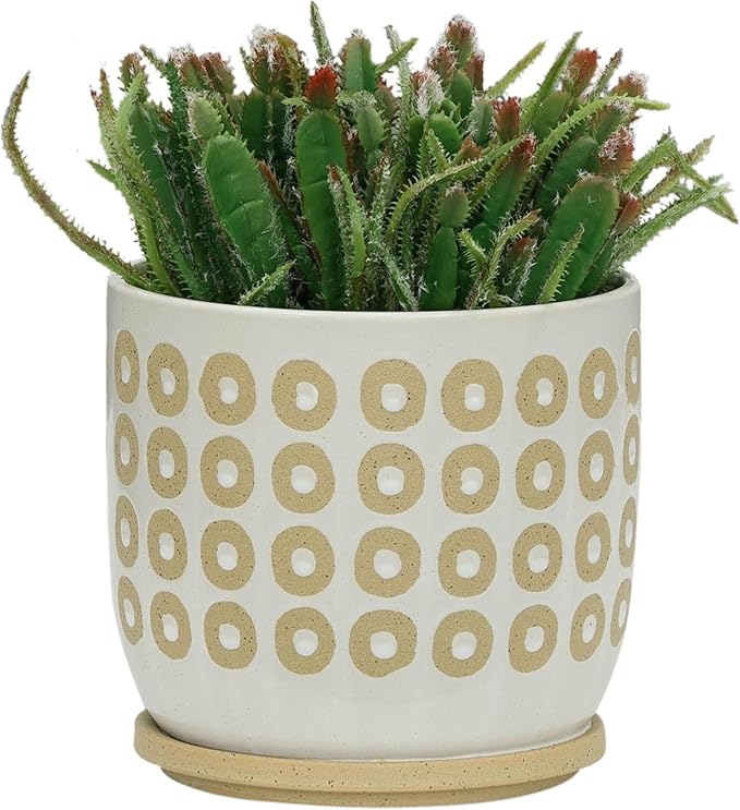 Generic 8 Circles Planter W Saucer White