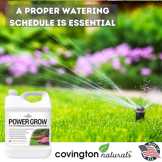 Liquid Lawn Fertilizer 3-18-18 NPK Grass Fertilizer Premium Lawn and Plant Nutrient Food – Year Round Concentrate for Best Value – All Grass Types – 32 OZ