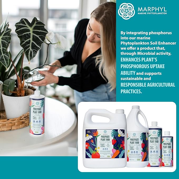 MARPHYL Organic Liquid Phosphate Soil Enhancer – Phosphorus Fertilizer for Root Development &amp Bloom Support Ideal for Garden Flowers Vegetables Succulents &amp Hydroponics