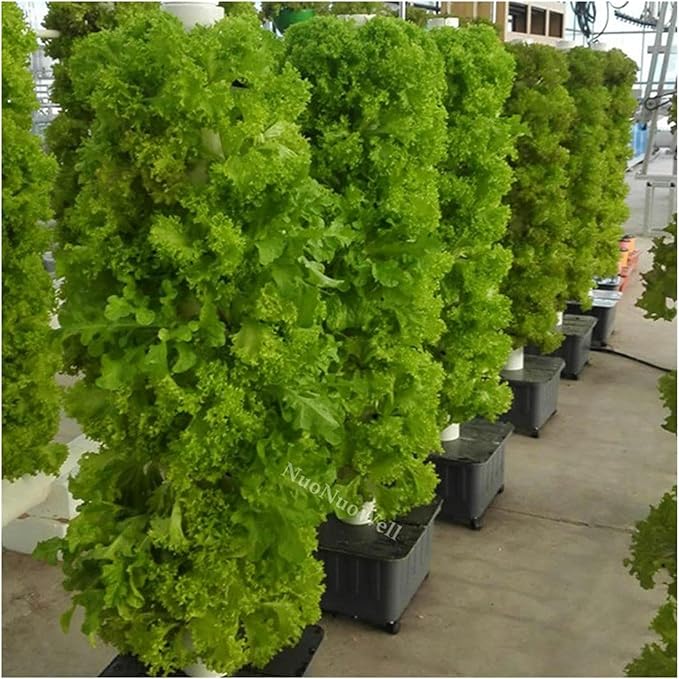 Hydroponics Growing System DIY Balcony Hydroponic Growing System Detachable Pp Colonization Cups Home Garden Farm Greenhouse Vertical Tower Planters Indoor Garden