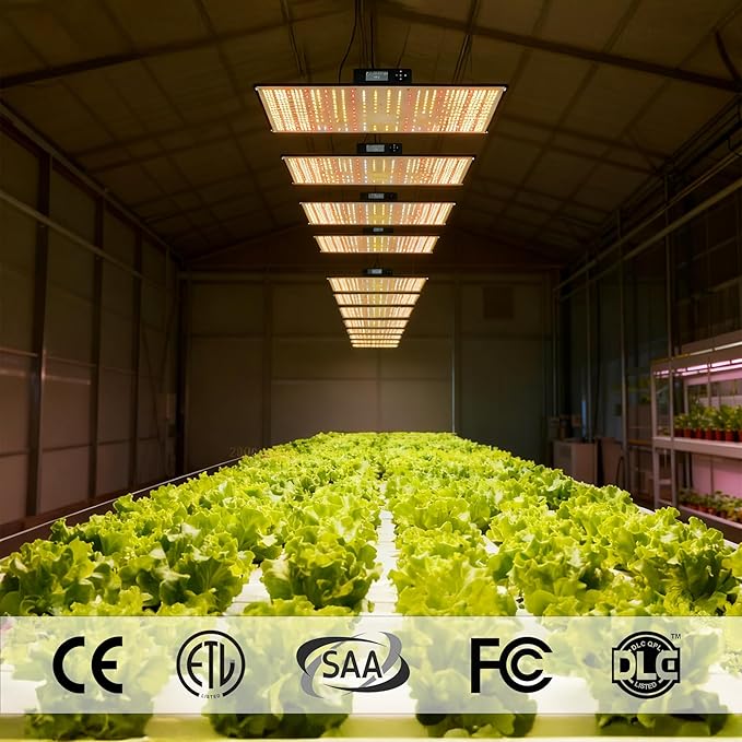 Full Spectrum LED Grow Light | 2.8 μmol/J High Efficiency | IP65 Waterproof | 0-10V Dimmable | for Commercial Greenhouses &amp Hydroponics