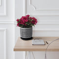 Generic 6 MESH Design Planter W Saucer Gray