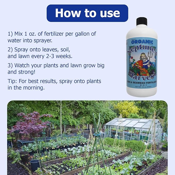 Neptune's Harvest Fish &amp Seaweed Liquid Fertilizer (2-3-1) - 36oz Bottle - Plant Food for Garden - Indoor &amp Outdoor Organic Plant Fertilizer for Vegetables Flowers Fruit Trees &amp Lawns