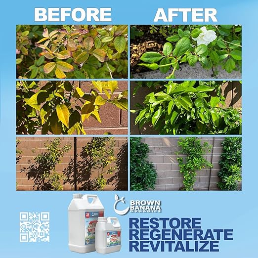 Organic Worm Castings Extract - Natural Liquid Plant Food for Stronger Roots Bigger Blooms and Healthier Soil Liquid Worm Tea Concentrate - 1 Gallon