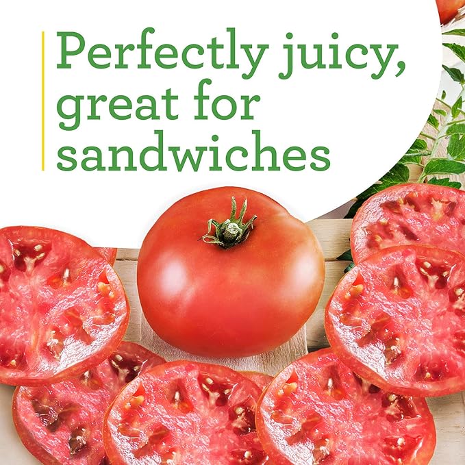 Bonnie Plants Big Boy Tomato Live Vegetable Plants - 4 Pack 6 - 10 Ft. Plants 16 - 32 Oz. Tomato Size