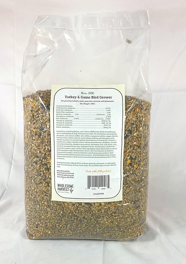 Non-GMO 10 lb Turkey Feed - Natural Peacock Game Bird &amp Bird Feed 24% High Protein Complete Food with Essential Oils Herbs Vitamins &amp Probiotics Formula for Healthy Flock Growth