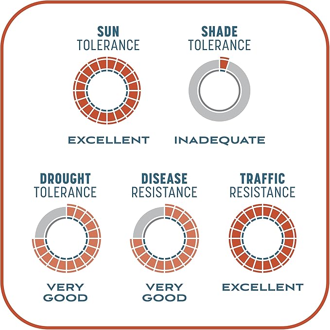 Pennington Smart Patch Bermudagrass 30lb 600 sq. ft. Grass Seed Bare Spot Repair with Mulch and Fertilizer