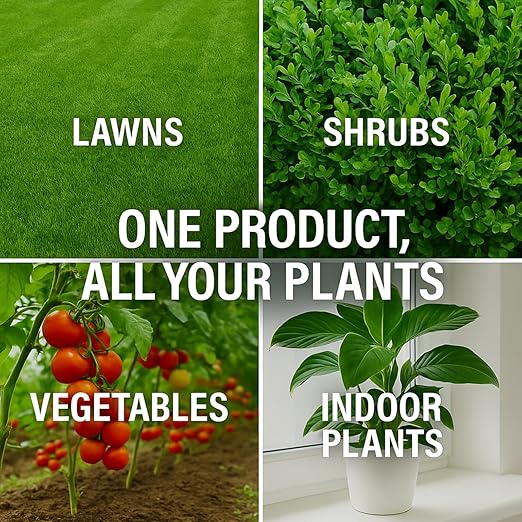 GS Plant Foods Root Ruckus Compost Fertilizer Organic Plant Food - Turbo Charged Compost for Plants - Humic Acid &amp Sea Kelp Nutritional Root Supplement for Lawns Soil Shrubs &amp Vegetables - 3