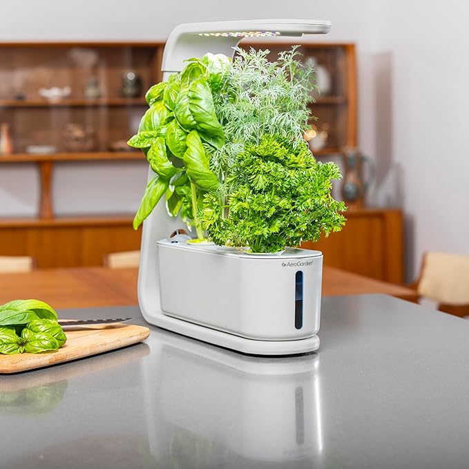 AeroGarden Sprout with Gourmet Herb Seed Pod Kit - Indoor Garden with LED Grow Light Cool Gray