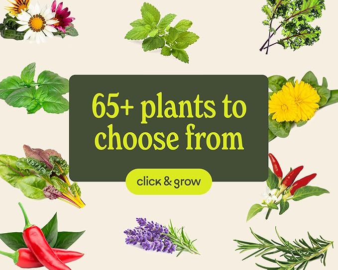 Click &amp Grow Indoor Herb Garden Kit with Grow Light | Smart Garden for Home Kitchen Windowsill | Easier Than Hydroponics Growing System | Vegetable Gardening Starter (3 Basil Pods Included) Sage