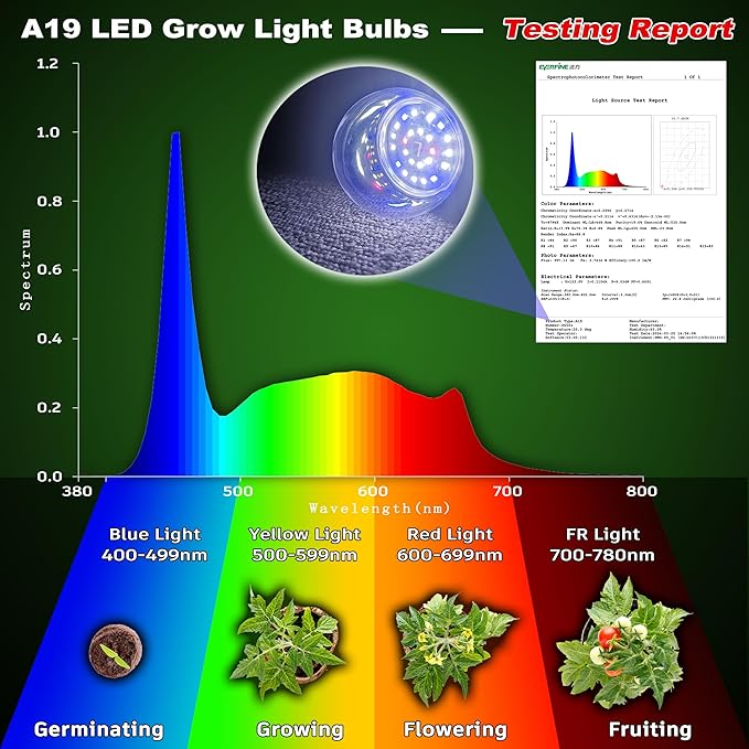 Grow Light Bulbs E12 Candelabra Small Screw Base for Indoor Plants Full SpectrumGrow LED Light Bulb 10W with Balanced Spectrum 5000K Blue Red for Seeds Greens LaboratorySchoolGreenhouse Garden6Pcs