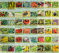 Set of 100 Packs of Valley Greene Assorted Heirloom Vegetable Seeds 100% Non-GMO