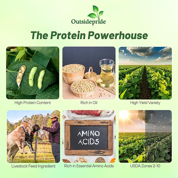 Outsidepride Soybean Seeds - 50 lbs High-Protein &amp High Yield Heirloom Variety Soy Beans Ideal for Oil Processing Forage Animal Food Plots &amp Wildlife Feed for Poultry &amp Other Farm Anim