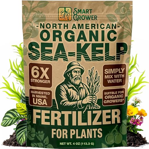 Organic Sea Kelp Fertilizer for Plants – Water-Soluble – Makes 100 Gallons – Kelp Meal Concentrate Plant Food – for Indoor Gardens Hydroponics Vegetables Houseplants - Smart Grower - 4oz Bag