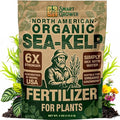 Organic Sea Kelp Fertilizer for Plants – Water-Soluble – Makes 100 Gallons – Kelp Meal Concentrate Plant Food – for Indoor Gardens Hydroponics Vegetables Houseplants - Smart Grower - 4oz Bag