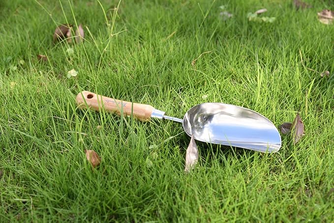 Green Tidy Tray with Stainless Steel Transplanter and Scoop – Durable Bamboo Handle Garden Tool Set