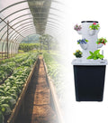 Hydroponics Growing System 30-Plant Kit: Indoor Vertical Farming Tower Home Gardening Essentials Aeroponic Tower for Herbs Fruits Vegetable(15holes)
