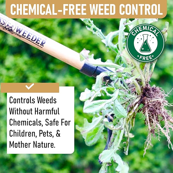 Grampa's Weeder - The Original Stand Up Weed Puller Tool with Long Handle - Made with Real Bamboo &amp 4-Claw Steel Head Design - Easily Remove Weeds Without Bending Pulling or Kneeling.