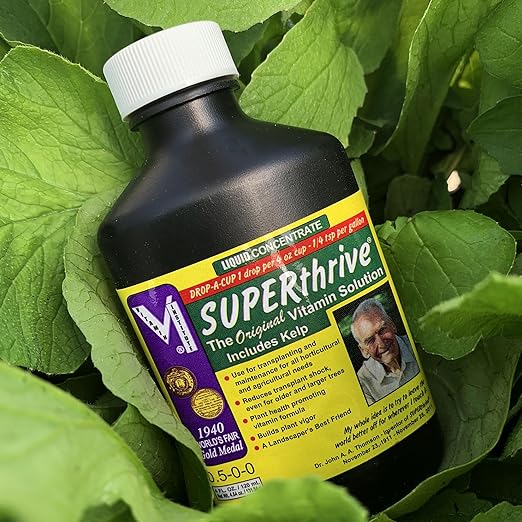 SUPERthrive Original Plant Vitamin Solution with Kelp for All Plants 4 oz. Plus Perennials to Plant in Fall Seeds