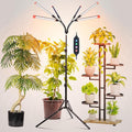 6Head Grow Light with Stand for Tall and Large Indoor Plants Bonsai Tree Big Coverage and Bright Plant Growing Lamps 4/8/12/16/20H Timer 54 Watt Power Draw NO Need Adapter 360° Gooseneck