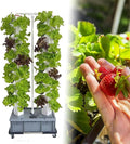 Hydroponic Growing Kits Hydroponics Growing Indoor Garden ｜ 64 Holes Growing Kit with Pump ｜ Vertical Hydroponic Tower for Frui