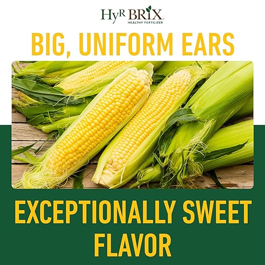 HyR BRIX Slow-Release 16-7-10 Sweet Corn Fertilizer 20lb Bucket - Corn Food with Calcium &amp Sulfur - Essential Micronutrients for Big Uniform Ears &amp Sweet Flavor