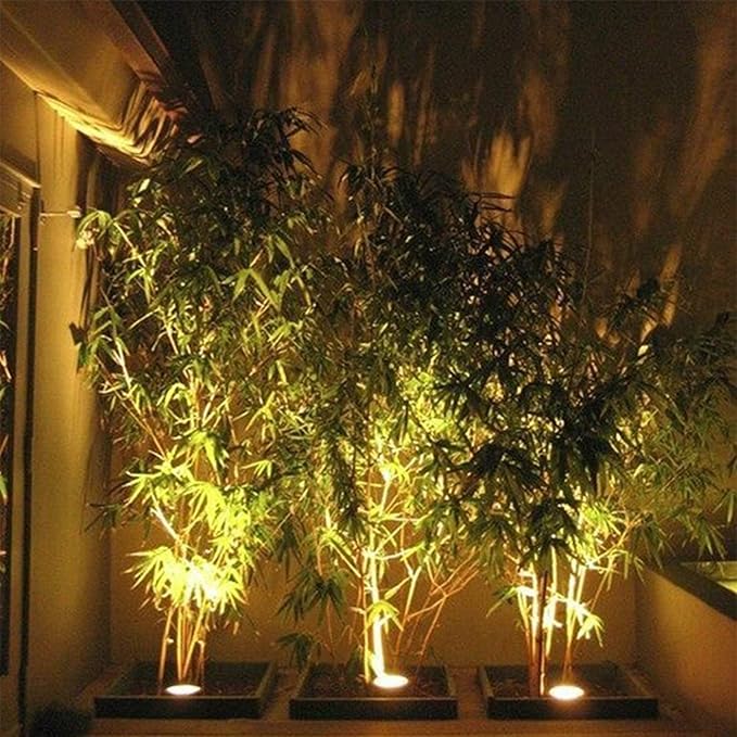 Ground LED Landscape Lights - 12/24VOutdoor Buried Lights 3W Outdoor Recessed Spot Light IP67 Water Proof utdoor Floor Lamp Round Ground Landscape Light(White Light12V)