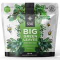 Big Green Leaves Indoor Plant Food – 4X Concentrated Houseplant Fertilizer with Sea Kelp – Makes 90 Gallons – Fast-Acting Mineral Formula Made in USA (1 lb)