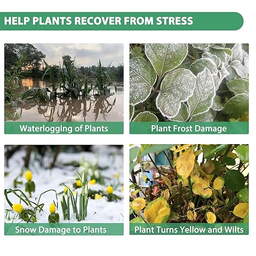 Organic Seaweed Booster Plant Nutrient Concentrate Kelp Lawn and Plant Concentrate Liquid Fertilizer for All Plants Non-Toxic and Safe Help Plants Healthy Growth and Recover from Stress
