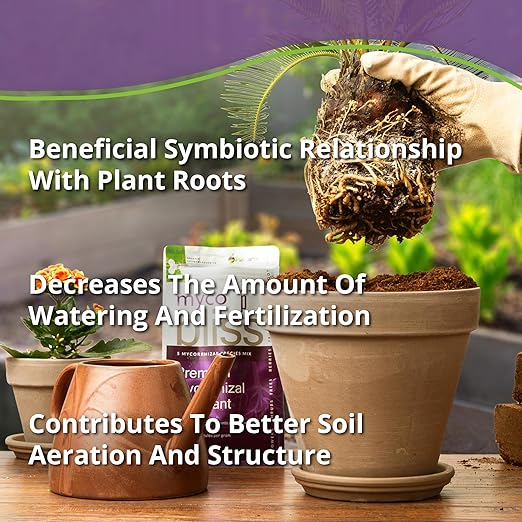 Myco Bliss Powder (5lbs) - Mycorrhizal Fungi for Soil - 5 Strain Mycorrhizal Inoculant with 1000 Propagules Per Gram - Highly Concentrated Mycorrhizae for Plants Potting Soil &amp Garden Soil