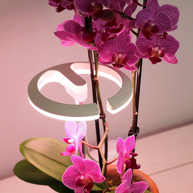 Halo 360 LED Plant Light for Indoor Plants Succulents Orchids Dimmable Adjustable Stand &amp Stake w/USB Adapter &amp Timer 2 Pack