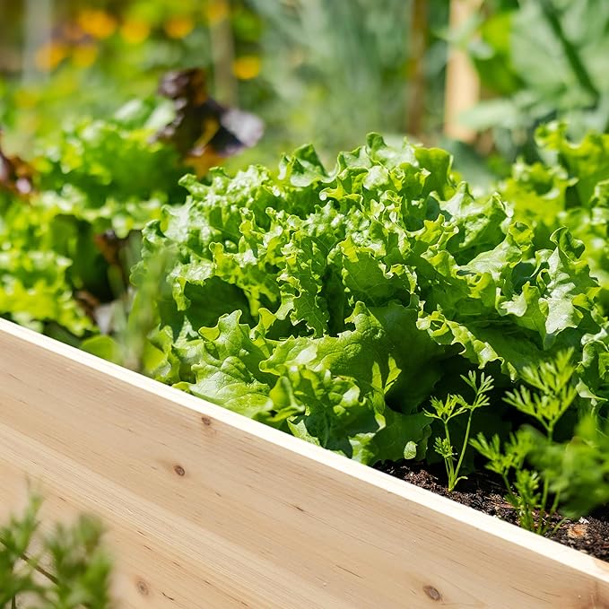 MUPATER 4x2FT Raised Garden Bed Elevated Planter Box with Drainage Holes Raised Garden Beds Outdoor with Legs for Herbs and Vegetables Outdoor and Indoor Natural Wood