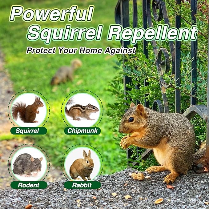 24 Pack Squirrel Repellent Balls - Peppermint Oil Squirrel Deterrent for Attic &amp Outdoor Squirrel Repeller for Car Engines Garden &amp Indoor Use
