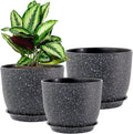 WOUSIWER Plant Pots 10/9/8 inch Set of 3 Modern Decorative Plastic Planters with Drainage Holes and Saucers for House Plants Indoor Flowers Plants Black with White Speckles