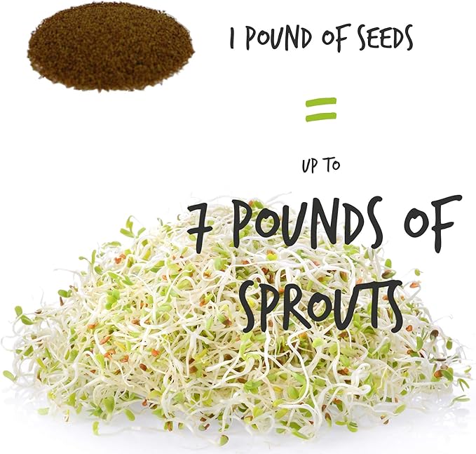 Handy Pantry Organic Sprouting Seed Assortments - Microgreens Sprout Seeds Variety Pack (12 Pack - Beginners Dozen)