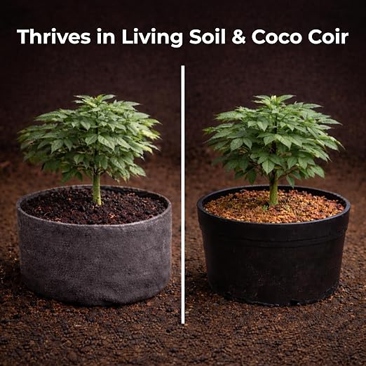 Real Growers Recharge – 5lb | Mycorrhizae Soil Microbe Inoculant for Living Soil &amp Coco Coir | Improves Nutrient Uptake &amp Root Growth