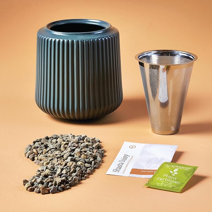 Modern Sprout Flower Grow Kit - Ceramic Planter with Indoor Hydroponics Growing System Kit Ideal for Living Room Decor - Unique Gardening Gifts - Daisy Daydream Self Watering Flower Planting Kit
