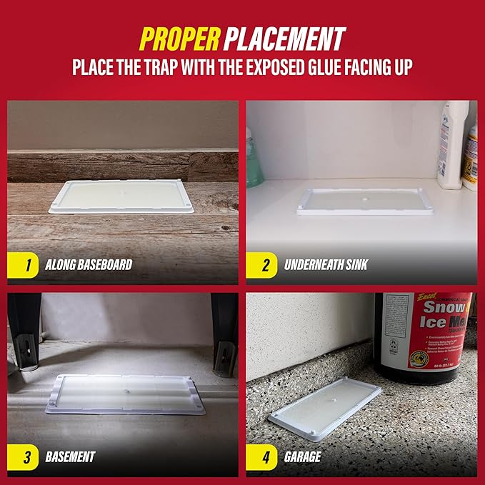 Catchmaster Freeze Resistant Glue Traps 6PK Mouse Traps Indoor for Home Pest Control Tray for Rodents Bugs &amp Crickets Cold Weather Glue Board for House Shed &amp Garage