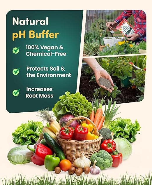 ByFlower Water-Soluble House Plant Fertilizer 1 lb – Organically Enhances Soil Quality for Thriving Plants - Vegan Garden Fertilizer Supports Healthy Growth