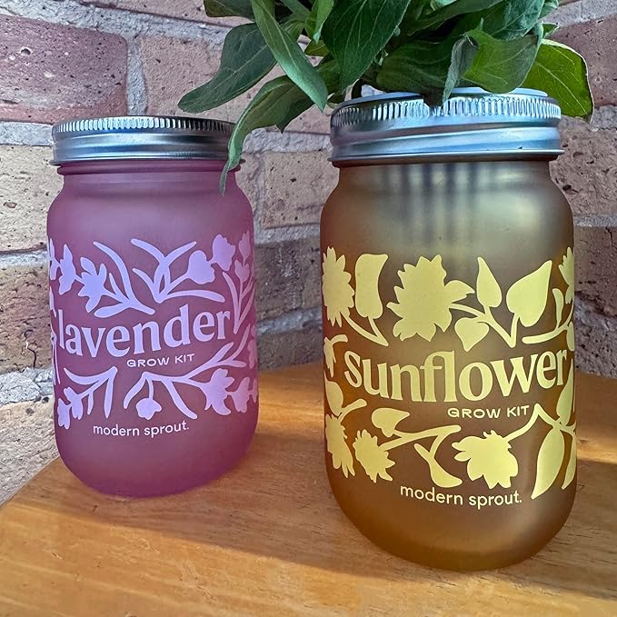 Modern Sprout Mason Garden Jar - Self-Watering Hydroponics Growing System Kit with Organic Herb Seeds - Jar Planter for Indoor Herb Garden - Seed Starter Kit - Easter Gifting -Basil+Lavender+Sunflower