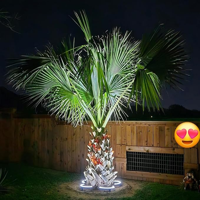 Solar Palm Tree Lights Outdoor 12000 mAh &amp 32 LEDs Outdoor Yard Lighting 6000K Uplight Landscape Spotlights Solar Powered Flood Lights for Large Tree Yard Landscape Garden