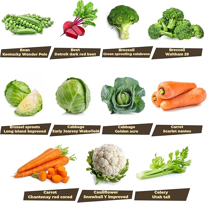 33 Variety Seed Bank Survival Gear 30000 Premium Non-GMO Open Pollinated Heirloom Seeds Made in USA