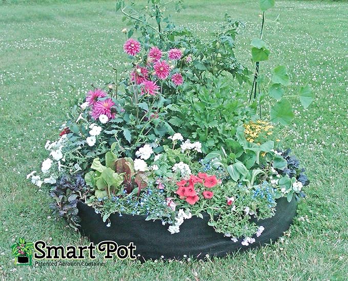 Smart Pot 100511247 Big Bag Fabric Raised Bed Original Black (Pack of 5)